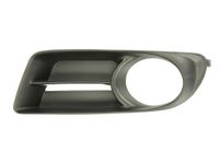 Radiateurgrille 6502078116913P