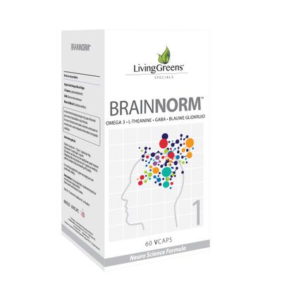 Brainnorm