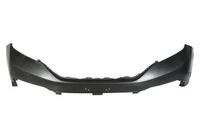Bumper 5510002958900P