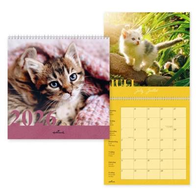 Cats Kalender 2026