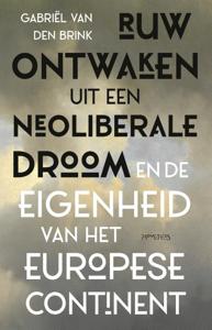 Ruw ontwaken uit de neoliberale droom (Paperback)