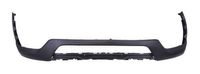 Bumper 5510003182901P