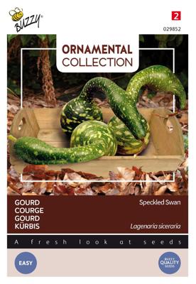 Ornamental gourd speckled swan - Buzzy