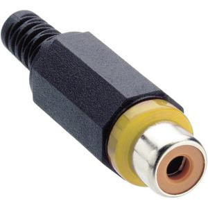 Lumberg XKTO 1-YE Cinch-connector Bus, recht Aantal polen: 2 Geel 1 stuk(s)