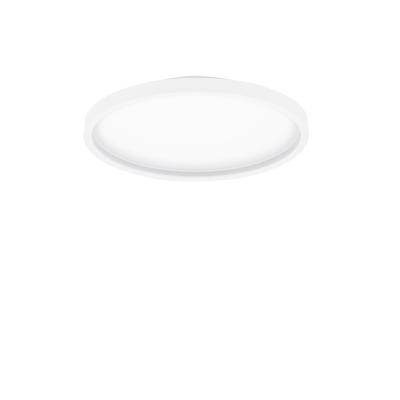 Lyora PlafonniereChet Ø 39,3cm met RGB functie - 9030653