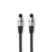 Nedis CAGC25000AT100 Optische Audiokabel Toslink Male - Toslink Male 10,0 M Antraciet