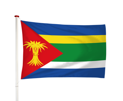 Vlag Minnertsga - Minnertsgea (fr)