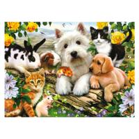 Ravensburger Dierenvriendjes, 300st.
