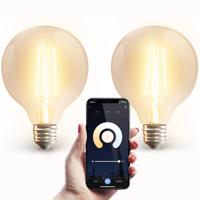 2x Smart E27 LED filament lamp - G95 - Wifi & Bluetooth - 806 lumen - 7 Watt - Warm wit tot koud wit