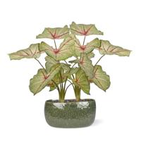 Caladium raspberry kunstplant 40cm