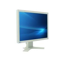 Eizo FlexScan L985EX - 21 inch - 1600x1200 - DVI - VGA - Zwart