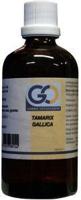 GO Tamarix gallica bio