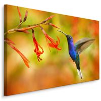 Schilderij - Kolibrie en Bloemen, Multikleur, Premium Print - thumbnail