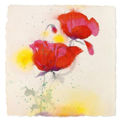 Kunstdruk Andrea Fontana - Papaveri I 70x70cm