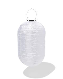 HEMA Solar Tuinlampion Langwerpig (wit)