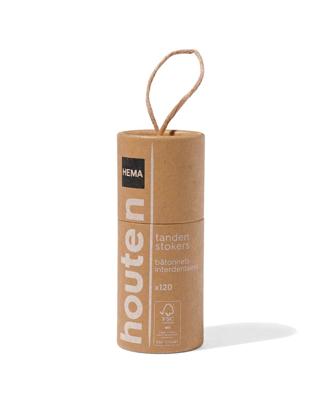 HEMA Houten Tandenstokers Extra Dun In Kokers - 120 Stuks