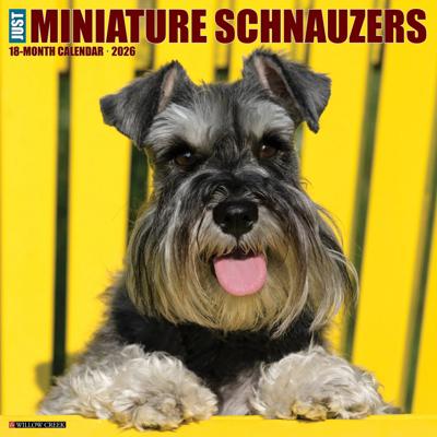 Miniatuur Schnauzer Kalender 2026