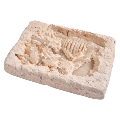 Simba Glow in the dark t-rex opgravingsset