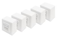 Digitus DN-9006/B5-N Netwerkdoos Opbouw (op muur) CAT 6 2 poorten Zuiver wit 5 stuk(s)