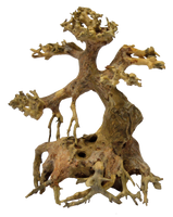Superfish Bonsai Driftwood XS - Uniek Aquarium Hout voor Natuurlijke Decoratie