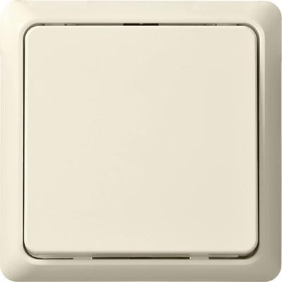 ELSO toets 506200 42V/1A opbouw RENOVATIE pw Wit 1 stuk(s)