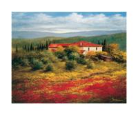 Kunstdruk Heinz Schölnhammer - Landschaft mit Mohn II 60x50cm