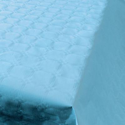 Haza Tafellaken/tafelkleed rol papier - 800 x 120 cm - lichtblauw - Lange tafels - Damast papier Haza Tafellaken/tafelkleed rol papier - 800 x 120 cm - lichtblauw - Lange tafels - Damast papier