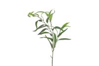 Decostar kunsttak Eucalyptus 90 cm groen