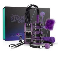 Secret Pleasure Chest - Purple Apprentice - thumbnail