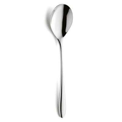 Set Lepels Amefa Cuba Metaal 21,6 cm 12 Stuks