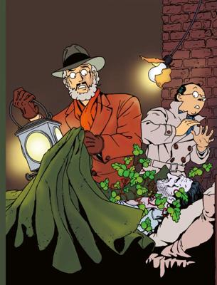 De avonturen van Professor Palmboom (Hardback)