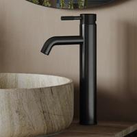 Wastafelkraan SaniClear Plus Curved | Opbouw | Mengkraan | Hoog model | Verouderd ijzer - Gunmetal