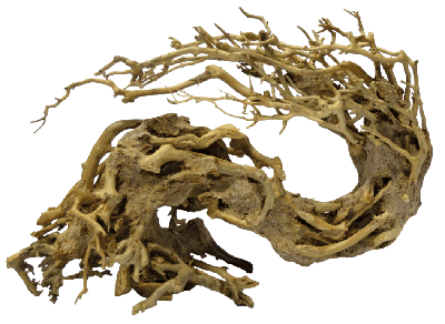 Bonsai Wave Medium aquaria - Superfish
