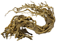 Bonsai Wave Medium aquaria - Superfish