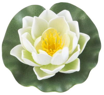 Lotus Foam White 10 cm