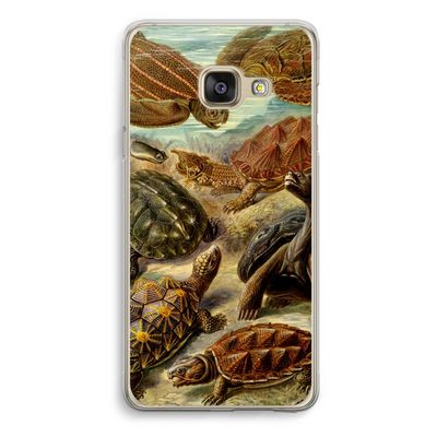Haeckel Chelonia: Samsung Galaxy A3 (2016) Transparant Hoesje