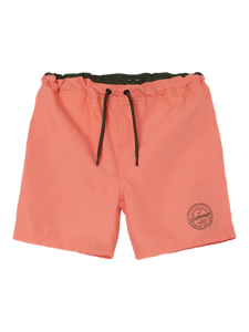 Name It Zobia Swimshort