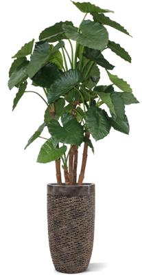 Baq Luxe Lite Universe Layer Partner bronze, 38x69cm