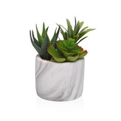 Decoratieve plant Versa Keramisch Plastic Fusion Vetplant 9 x 15 x 9 cm