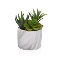 Decoratieve plant Versa Keramisch Plastic Fusion Vetplant 9 x 15 x 9 cm