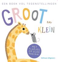 Groot en Klein, een boek vol tegenstellingen (Hardback)
