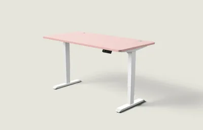 Desktronic HomePro bureau Wit / Zachtroze / 160x80 cm