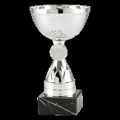 Sportprijzen Leiden Trofee ET.387C