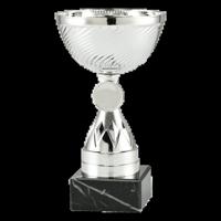 Sportprijzen Leiden Trofee ET.387C