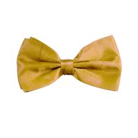 Carnaval verkleed vlinderstrikje zijdeglans - goud - polyester - heren/dames   -