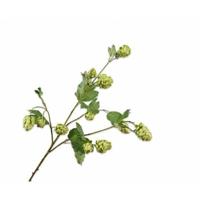 Silk-ka Zijden Bloem-Kunstbloem Hop Tak Groen 77 cm