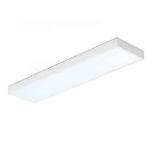 LED Paneel met Dali driver - Dimbaar - 30x120 cm - 36 Watt - 4320lm (120lm/W) - 6500K daglicht wit - Incl. opbouwframe - Flikkervrij - UGR22 - 5 jaa