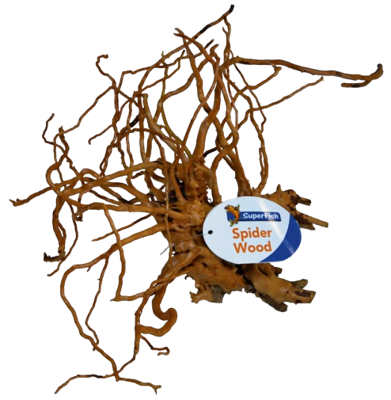 Superfish Spiderwood medium