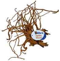 Superfish Spiderwood medium