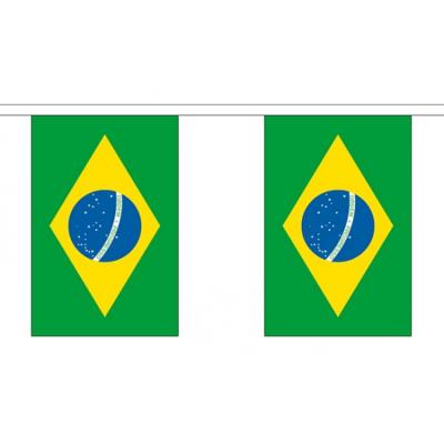 Brazilie vlaggenlijn slinger - 300 cm - polyester - met 10 vlaggetjes - binnen/buiten